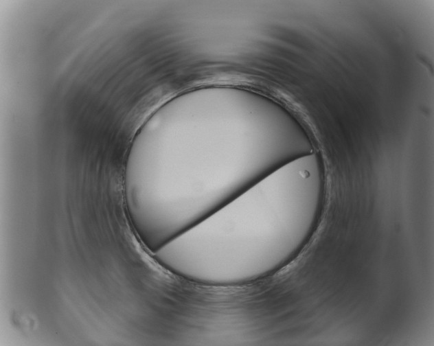 X0000102531425200808081042
