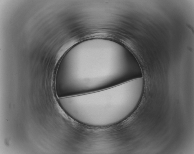 X0000102531426200808081042