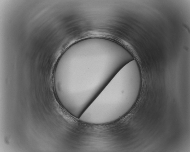 X0000102531427200808081042