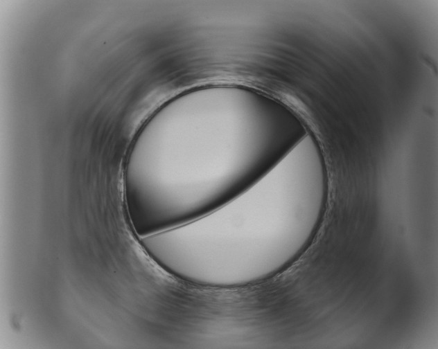 X0000102531428200808081042