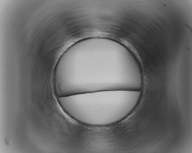 X0000102531429200808081042