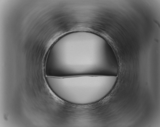 X0000102531430200808081042