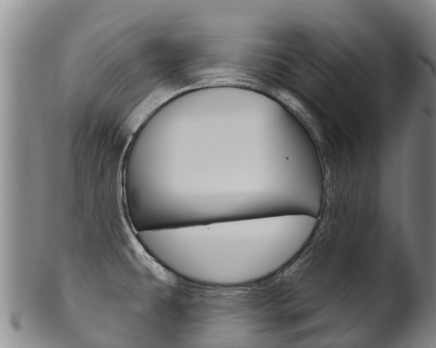 X0000102531431200808081042