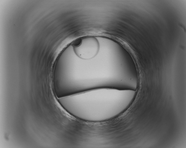 X0000102531432200808081042