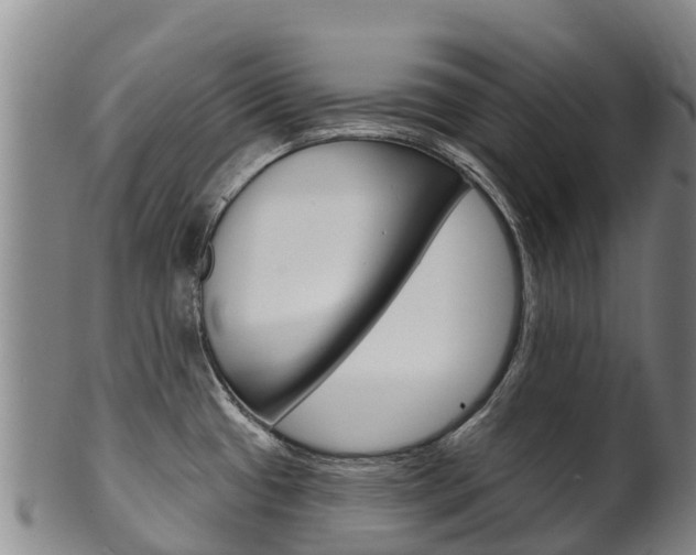 X0000102531433200808081042