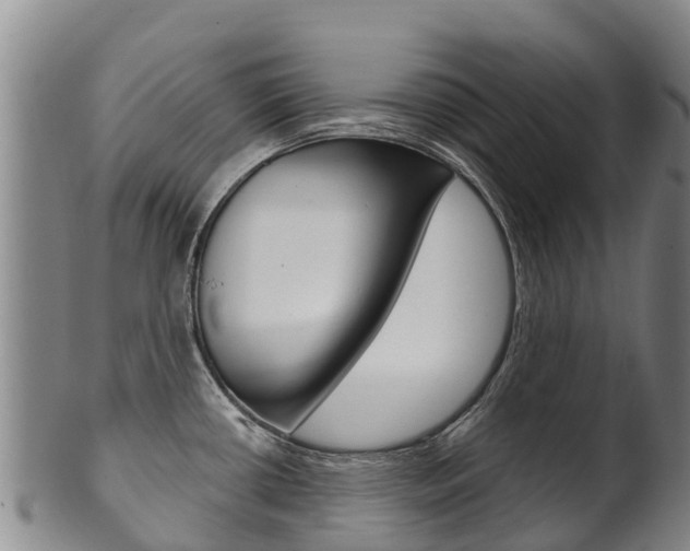 X0000102531434200808081042