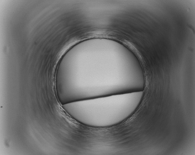 X0000102531435200808081042