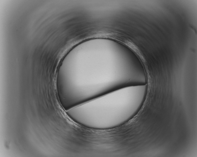 X0000102531436200808081042