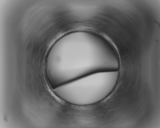 X0000102531437200808081042
