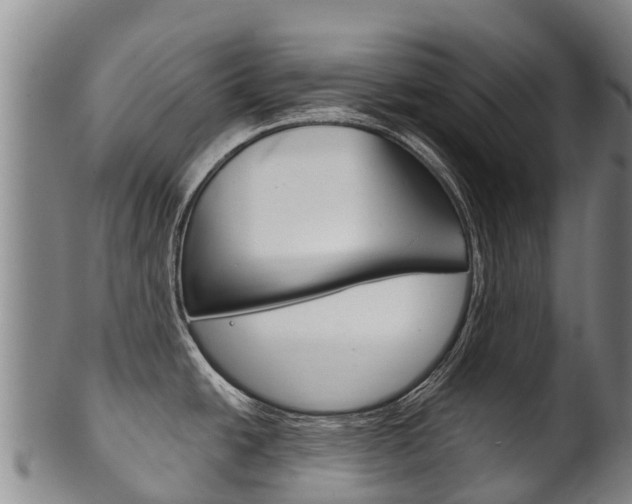 X0000102531438200808081042