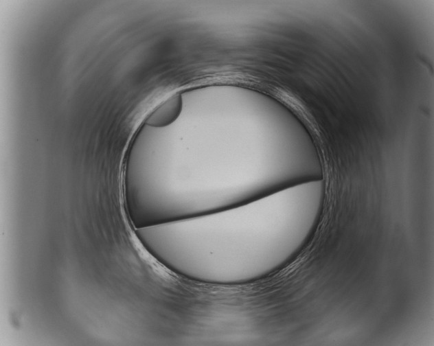 X0000102531439200808081042