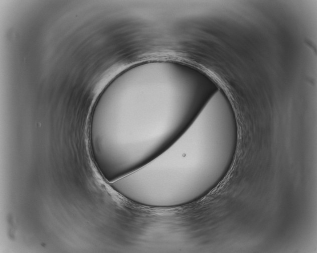 X0000102531440200808081042