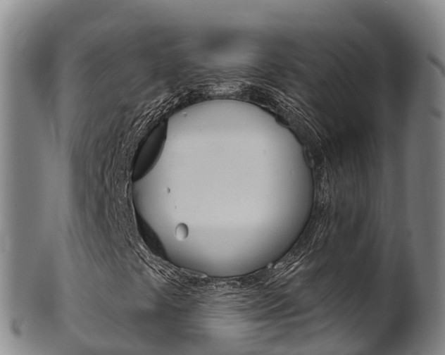 X0000102531441200808081042