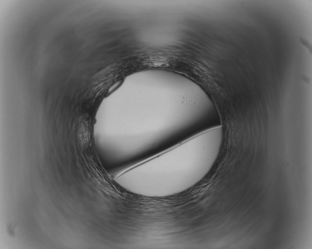 X0000102531442200808081042