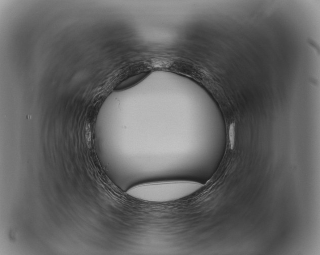 X0000102531443200808081042