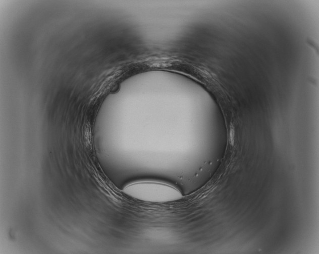 X0000102531444200808081042