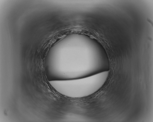 X0000102531445200808081042