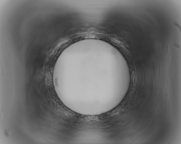 X0000102531446200808081042