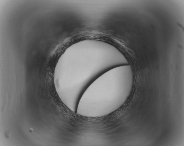 X0000102531447200808081042