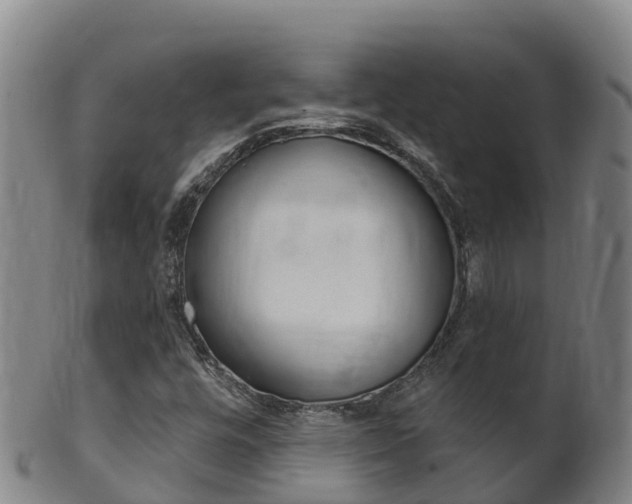 X0000102531448200808081041