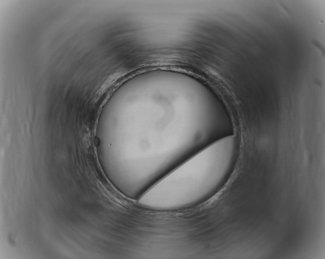 X0000102531449200808081041