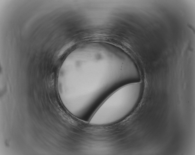 X0000102531450200808081041
