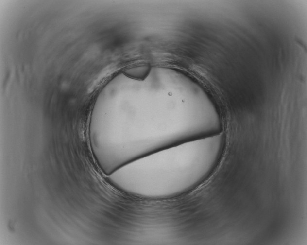 X0000102531451200808081041