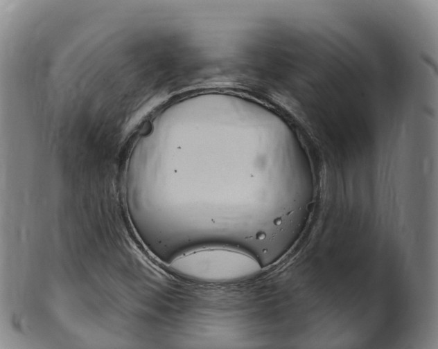X0000102531452200808081041