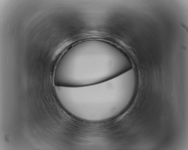 X0000102531453200808081041