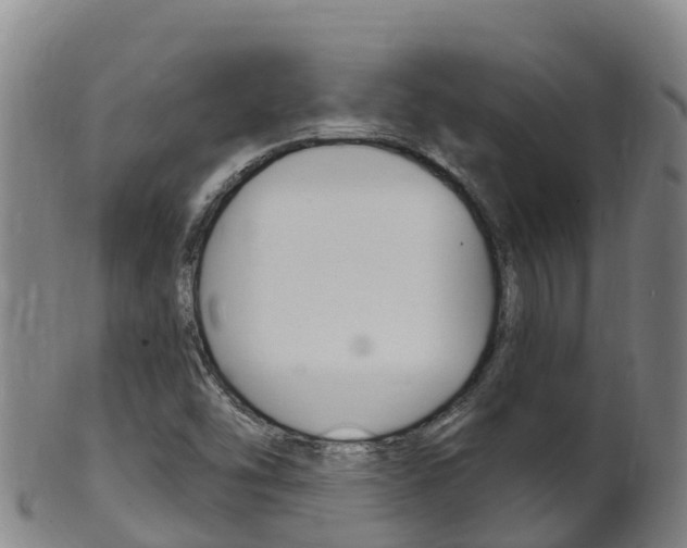 X0000102531454200808081041