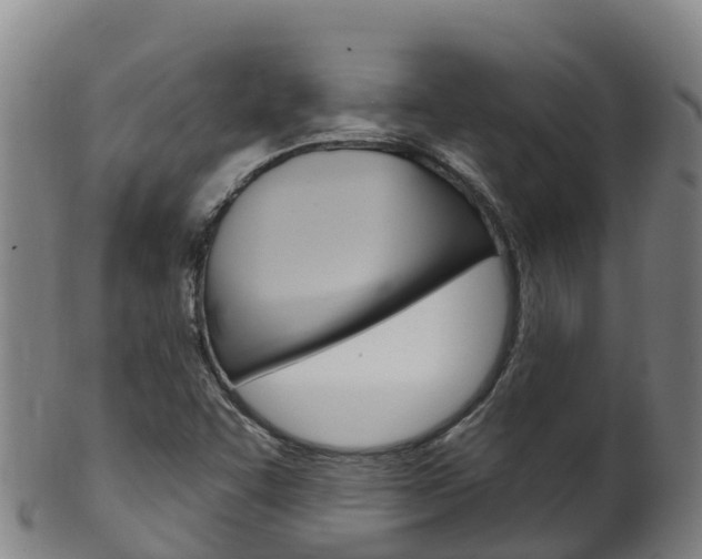 X0000102531455200808081041