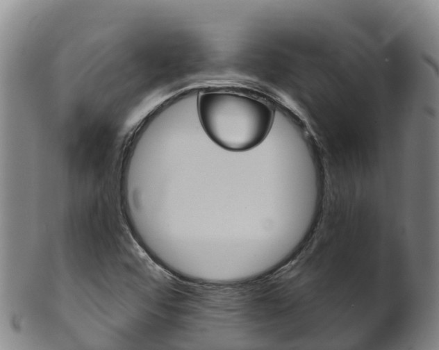 X0000102531456200808081041
