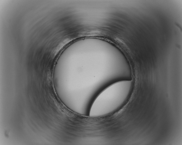 X0000102531457200808081041