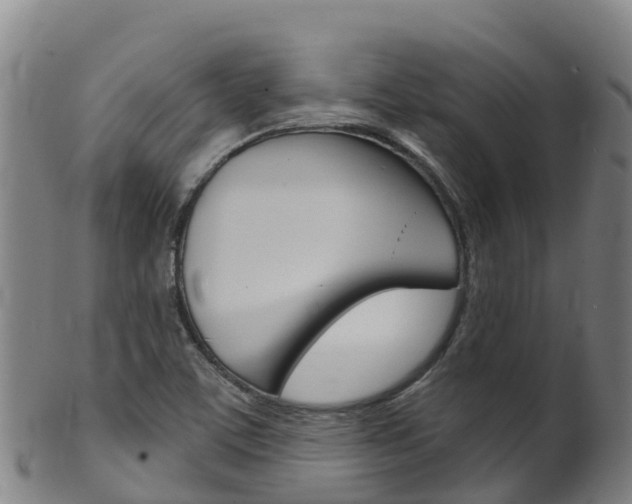 X0000102531459200808081041
