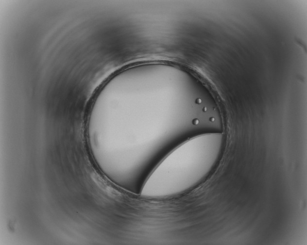 X0000102531460200808081041