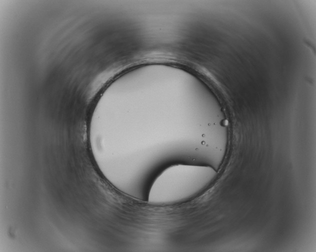 X0000102531461200808081041