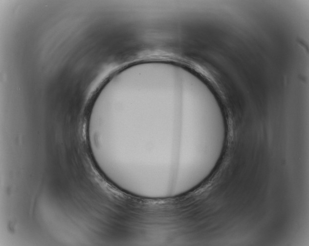X0000102531462200808081041