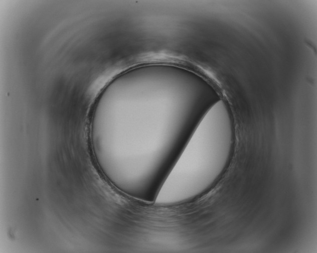 X0000102531463200808081041