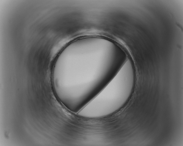 X0000102531464200808081041
