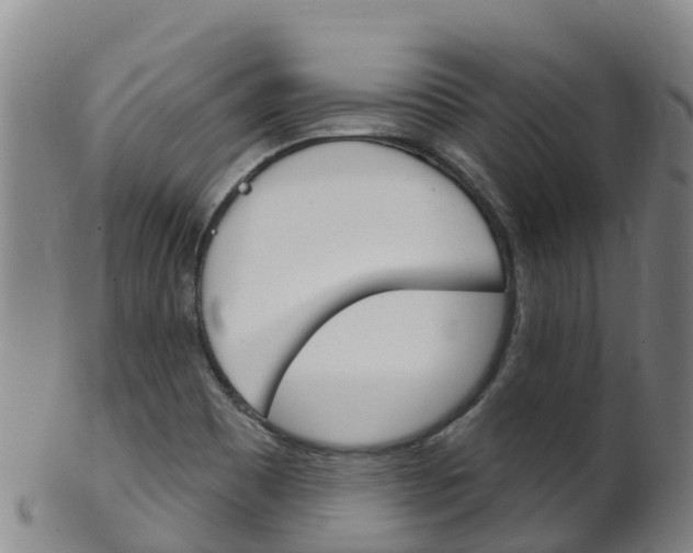 X0000102531465200808081041