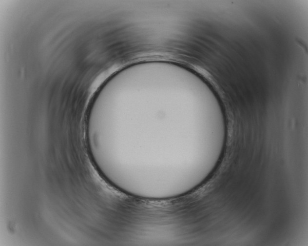 X0000102531466200808081041