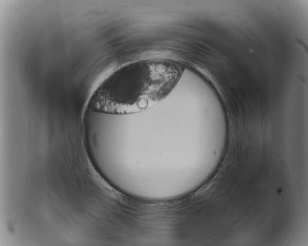 X0000102531467200808081041