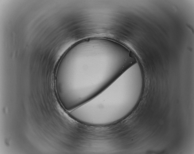 X0000102531468200808081041