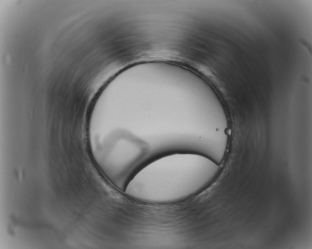 X0000102531469200808081041