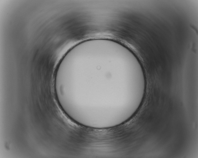 X0000102531470200808081041