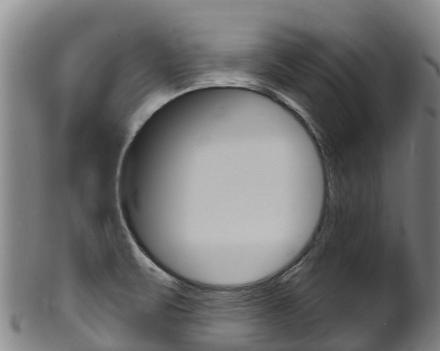 X0000102531471200808081041