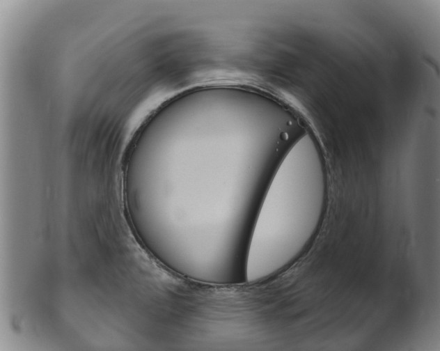 X0000102531472200808081041