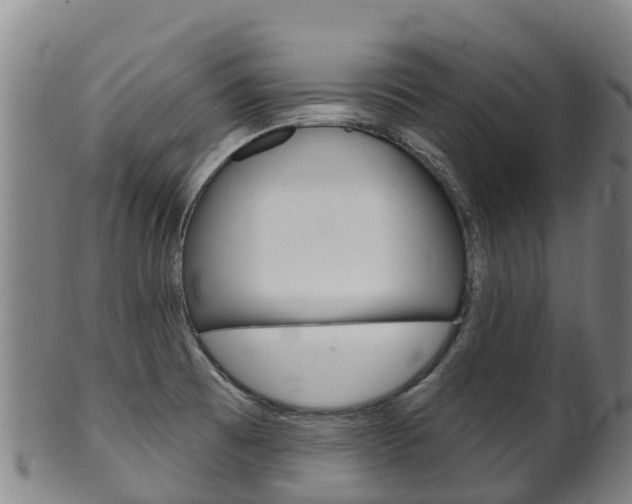 X0000102531473200808081041