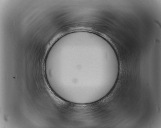 X0000102531474200808081041