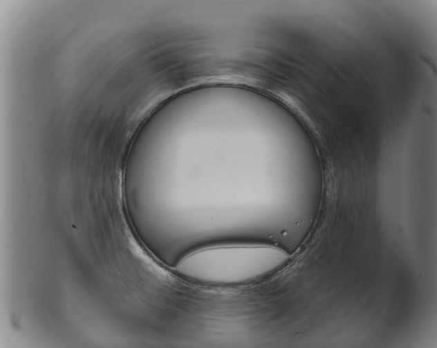 X0000102531476200808081041